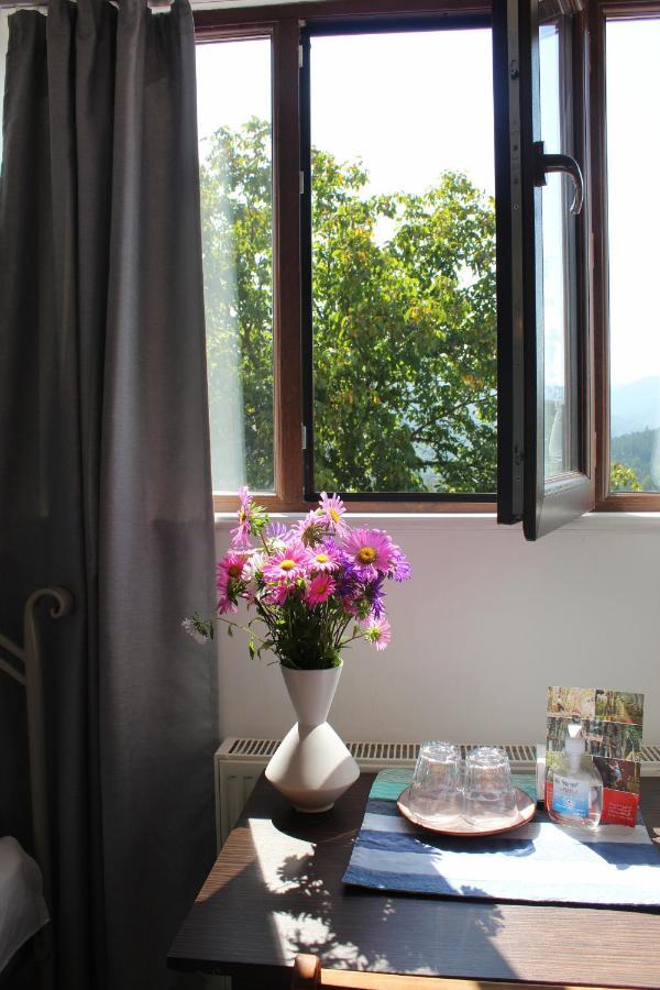 Toon Armeni Bed & Breakfast Dilijan